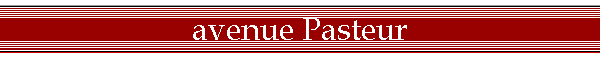 avenue Pasteur